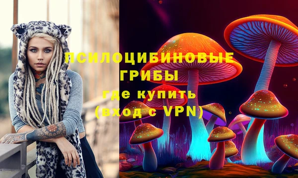 стафф Абаза