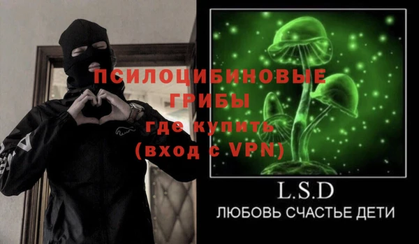 PSILOCYBIN Абдулино