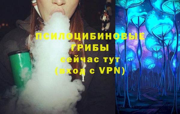 PSILOCYBIN Абдулино