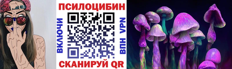 где купить наркоту Шали mega сайт Галлюциногенные грибы Psilocybine cubensis
